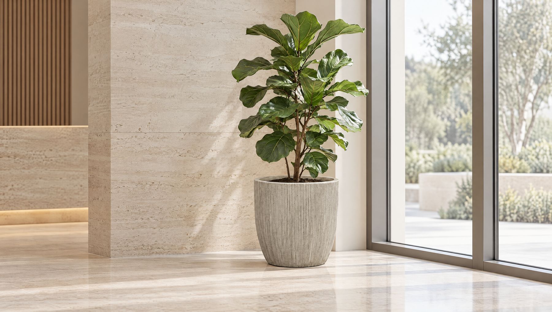 Fiberclay saksı bakımı ve kullanım rehberi